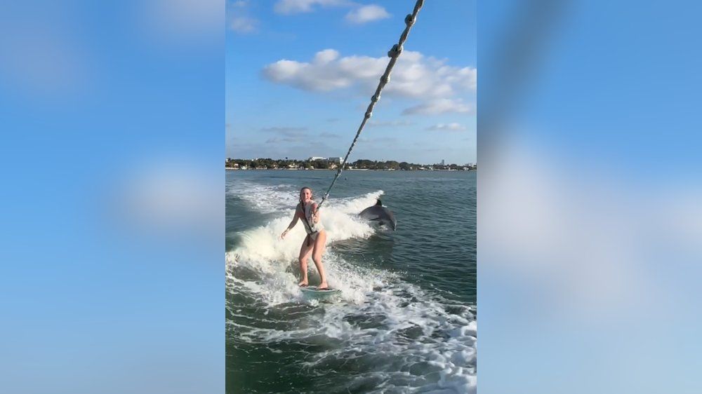 Video: Skirennfahrerin bekommt beim Wake-Surfen tierische Begleitung