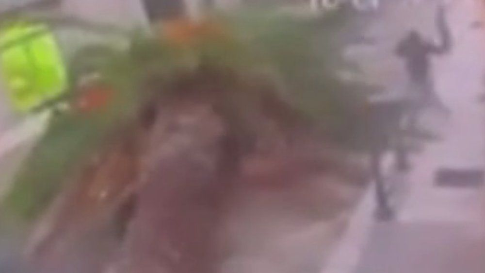 Video: Wegen Sturm: Palme stürzt auf Auto und verfehlt Fußgänger nur knapp