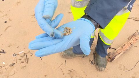 Alarm in Spanien: Massenhaft Plastikkügelchen angeschwemmt