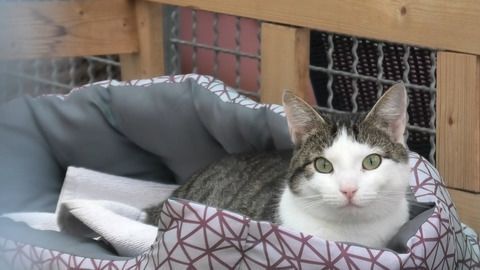10,000 euros in cash: Animal shelter in NRW receives surprising donation