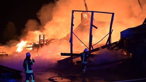 Mehrere Millionen Euro Schaden bei Brand von Holz-Betrieb
