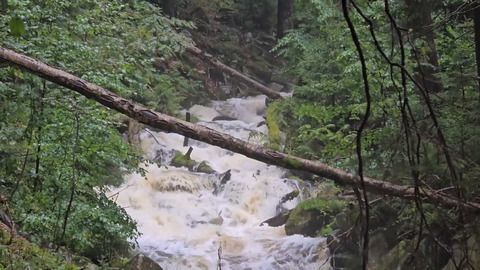 Regen ohne Ende: Nachbarländer rüsten sich vor Hochwasser - Video