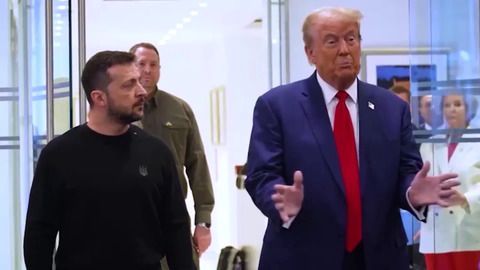 Medien: Musk bei Trumps Telefonat mit Selenskyj dabei