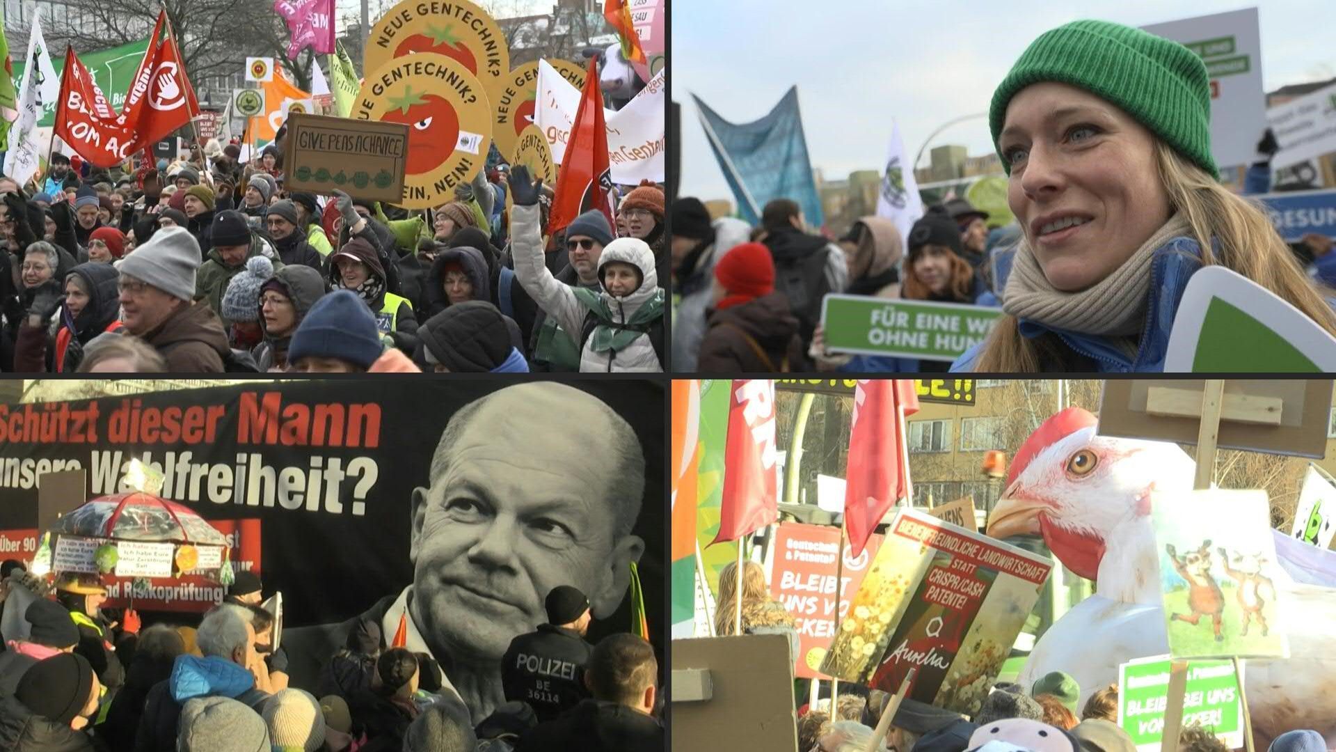 "Wir haben es satt": Großdemo für ökologische Agrarwende