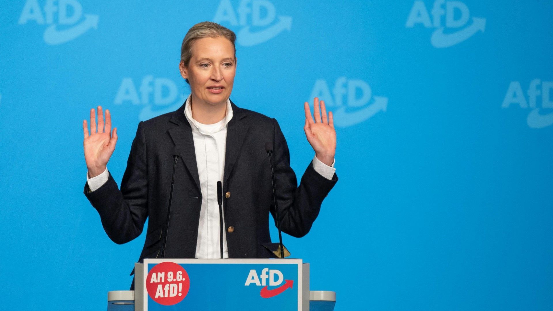 AfD-Europawahlkampf: Parteispitze und Anhänger trotzen Vorwürfen