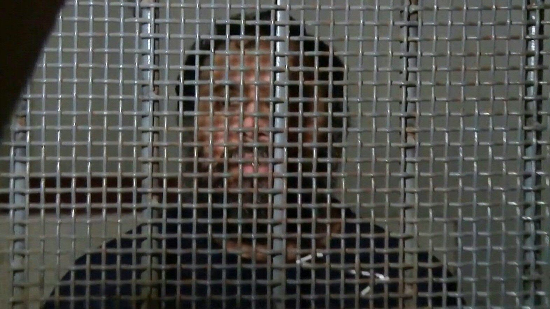 Ecuador's most-wanted gang leader 'Fito' enters prison