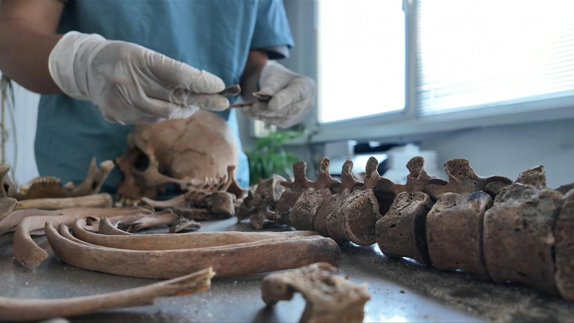 30 Jahre nach Srebrenica: Noch immer nicht alle Opfer gefunden