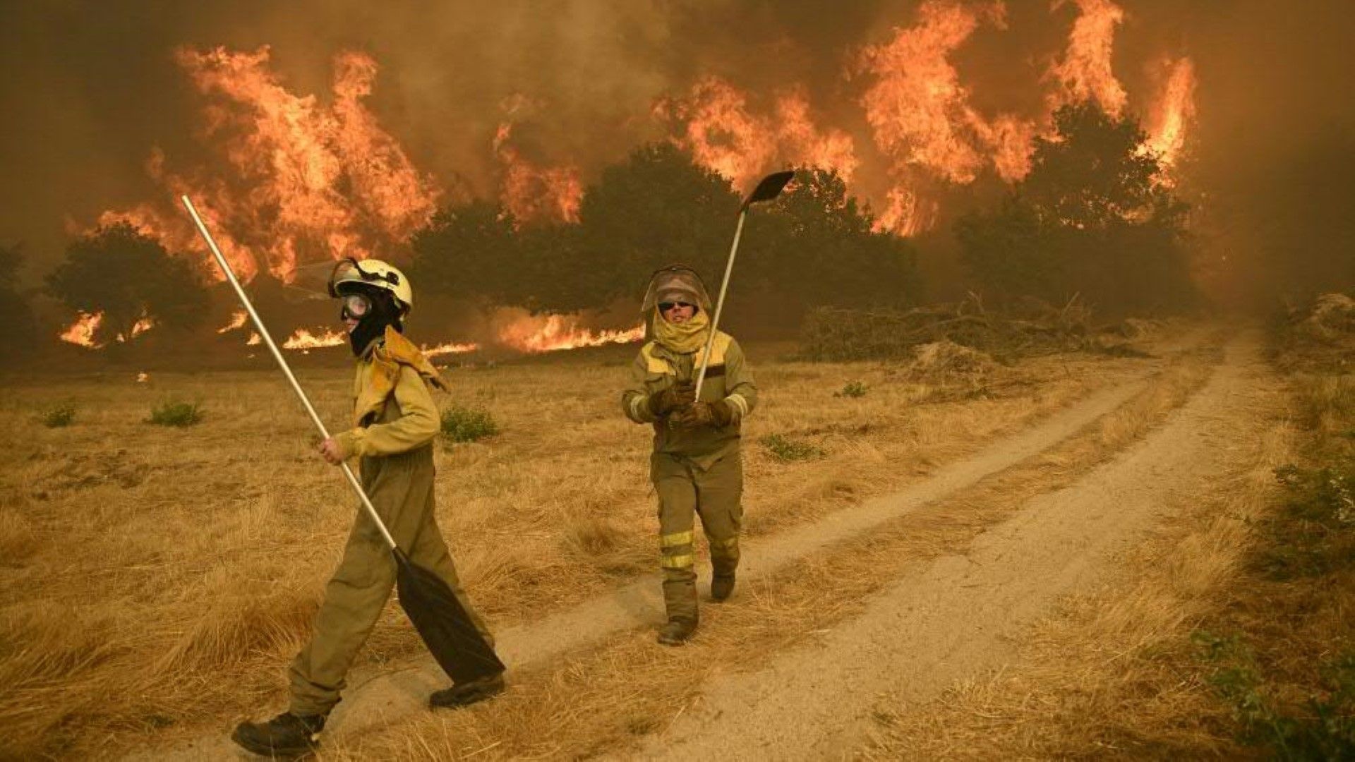 Rekord-Fläche an Land in diesem Jahr durch Waldbrände in Spanien zerstört
