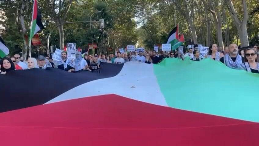 Video: Huge crowd marches in Madrid in support of Palestinians