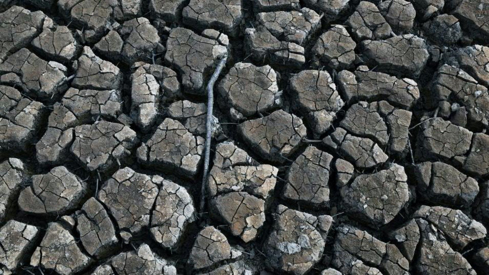 Zehn Jahre Pariser Klima-Abkommen: Es reicht nicht