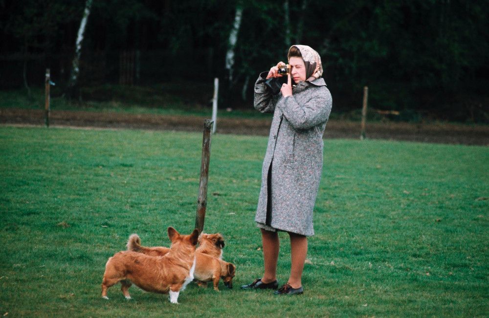 Queen Elizabeth was very proud to have accidentally created a new dog