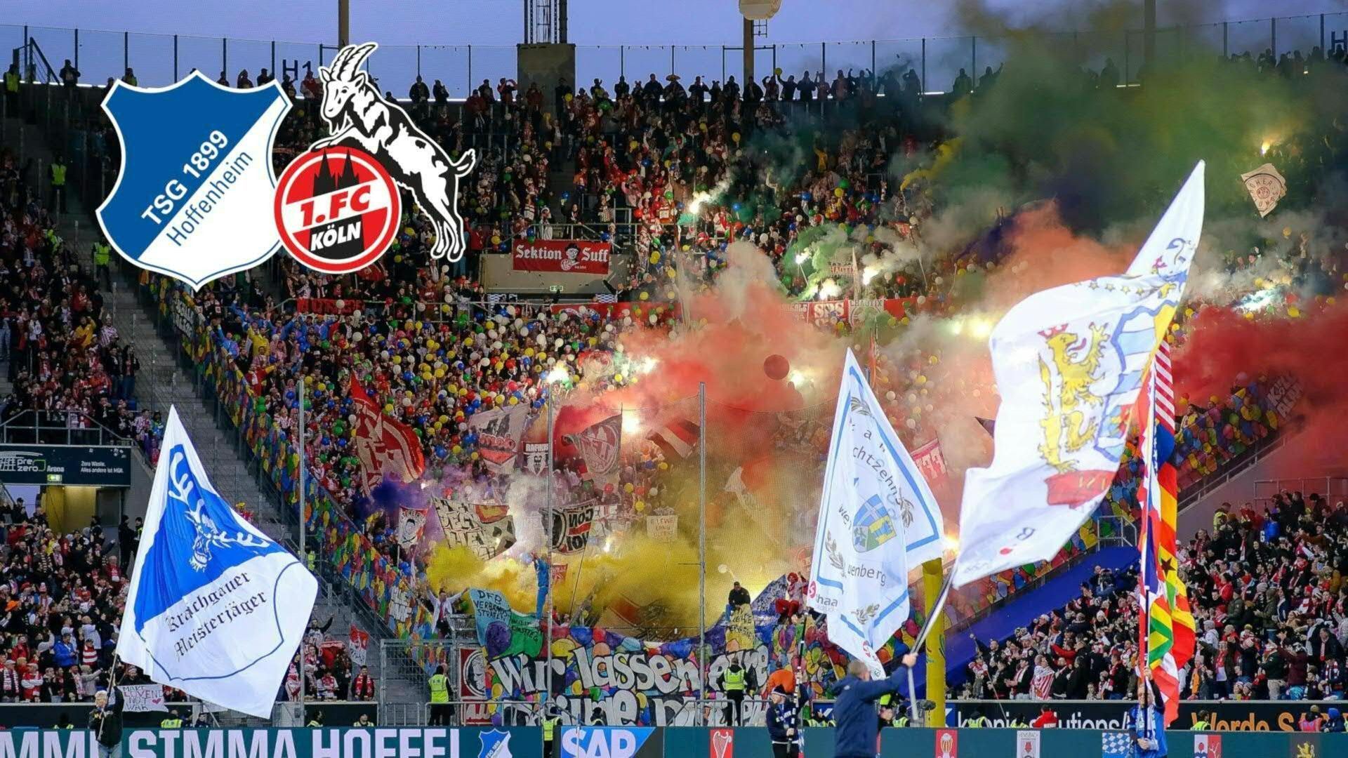 Vor Rosenmontag: 1. FC Köln trennt sich 1:1 von Hoffenheim