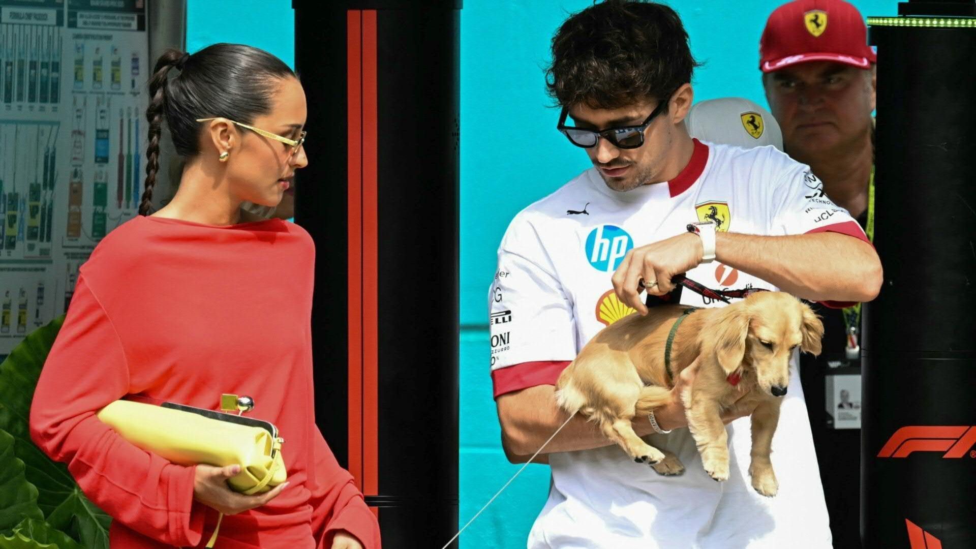 Hund Leo hilft: Leclerc mit Partnerin Saint-Mleux verlobt