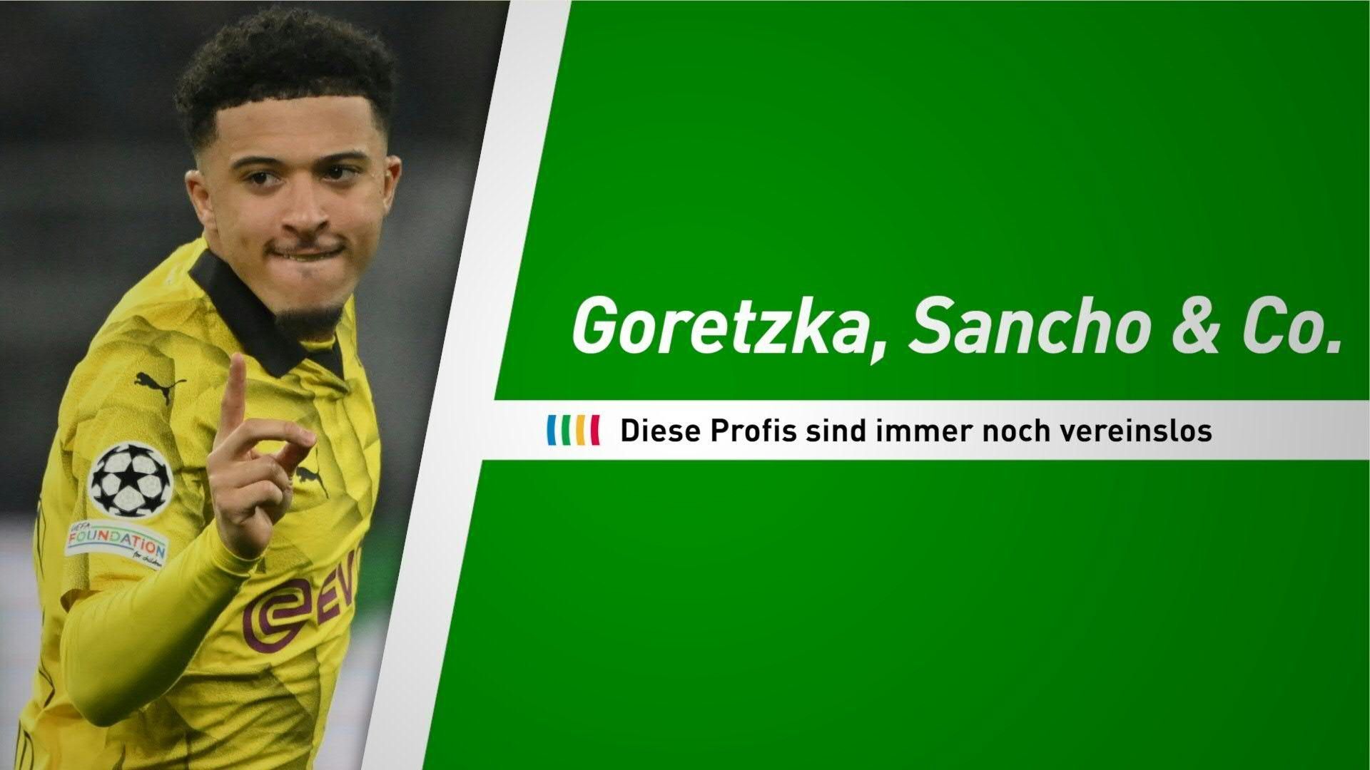 Video: Goretzka, Sancho & Co. - Diese Profis sind immer noch vereinslos