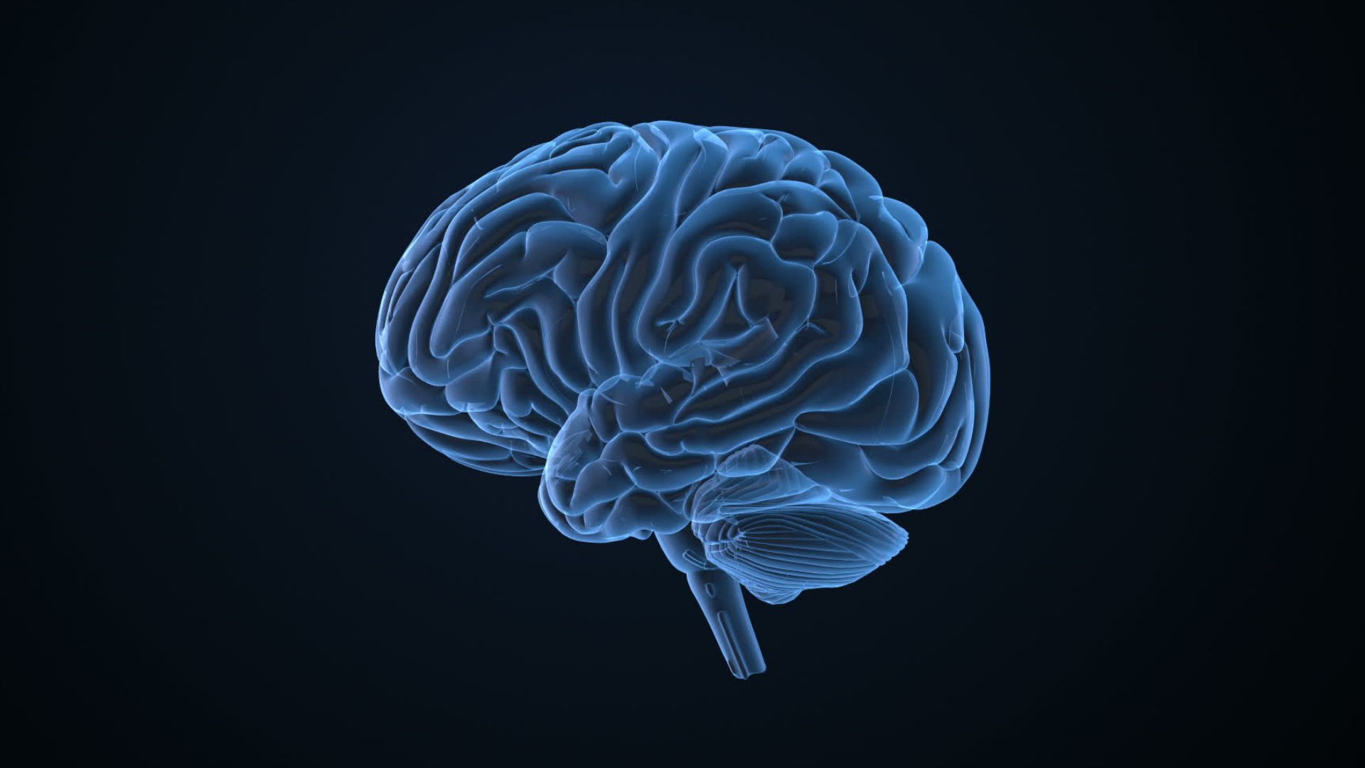 Climate Change: How Extreme Heat Affects Our Brain