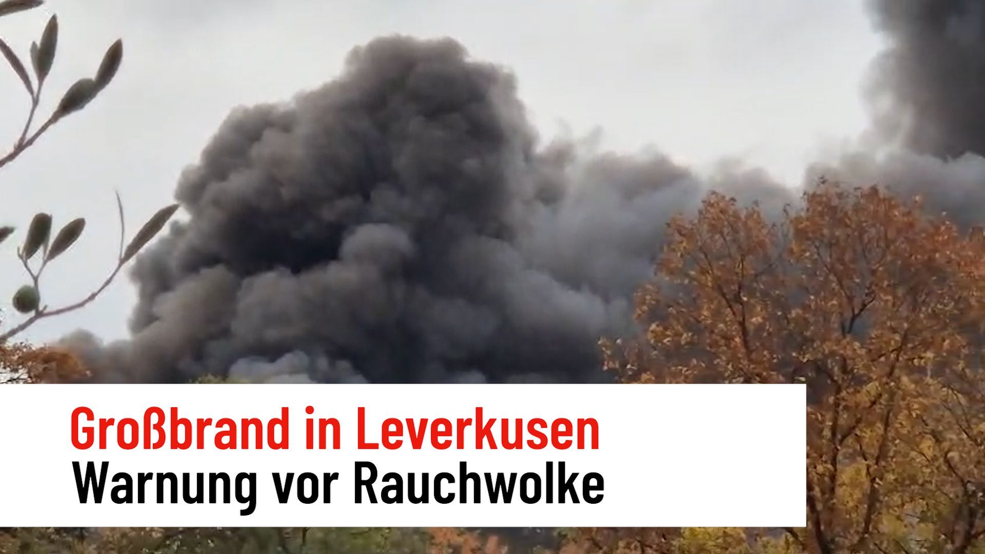 Großbrand in Leverkusen: Feuer bei Dynamit Nobel ausgebrochen – Warnung vor Rauchwolke