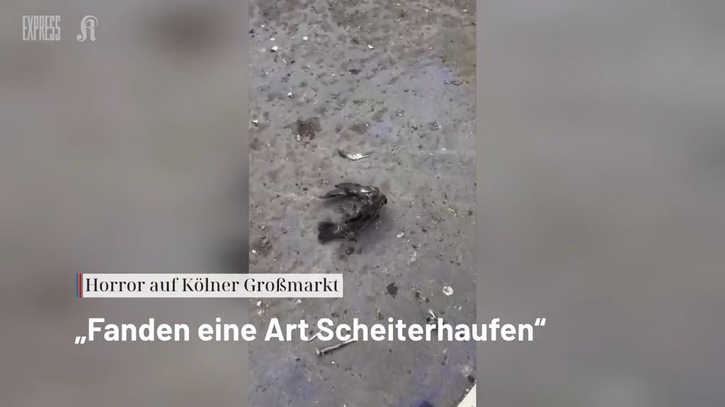 Video: Horror auf Kölner Großmarkt: „Fanden eine Art Scheiterhaufen“