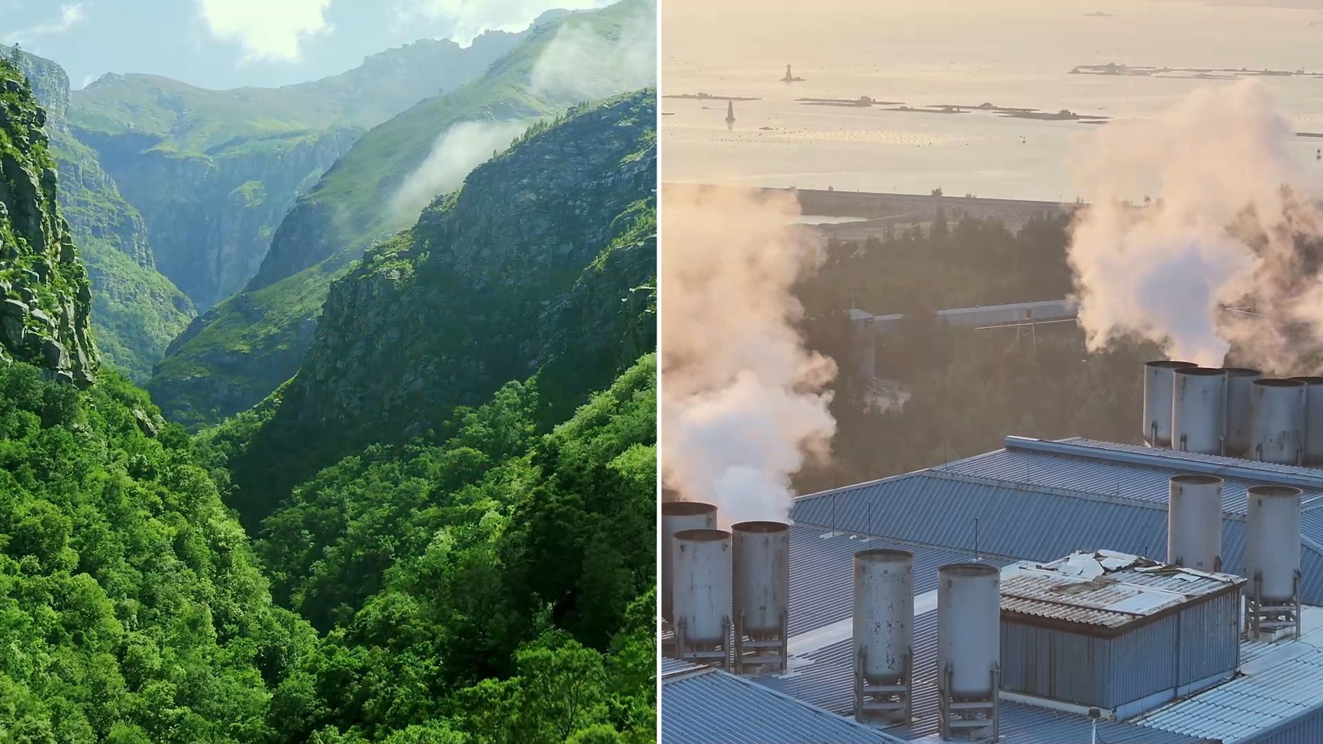 Climate Crisis and Capitalism: Trapped in Its Own System?