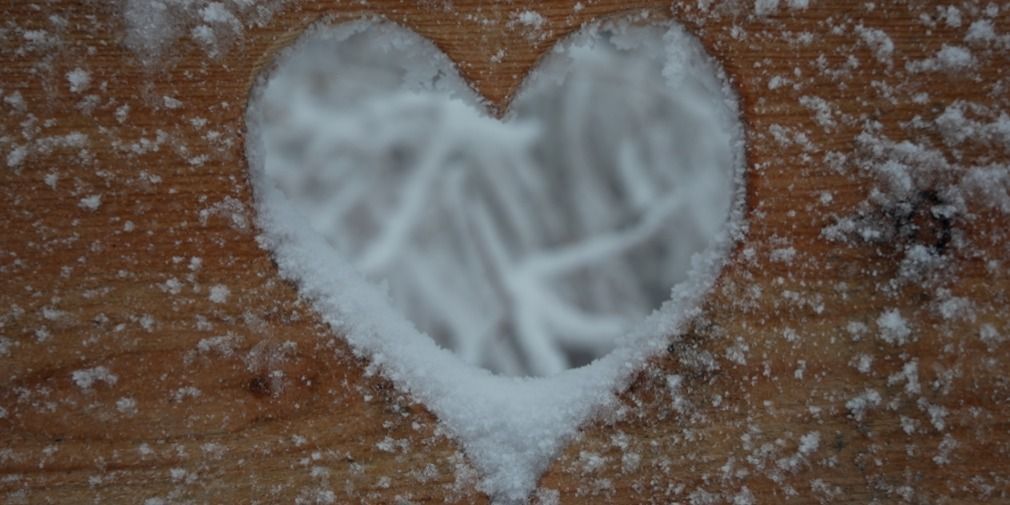 Osthessen verzaubert: Winterliche Naturerlebnisse im Wald abseits der Hektik