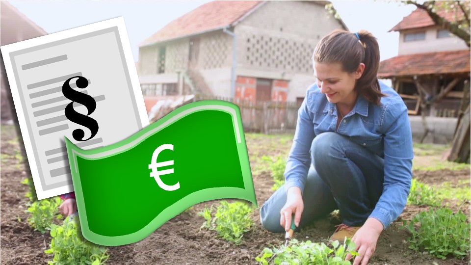 Antwort Welche Gartenarbeiten sind steuerlich absetzbar? Weitere
