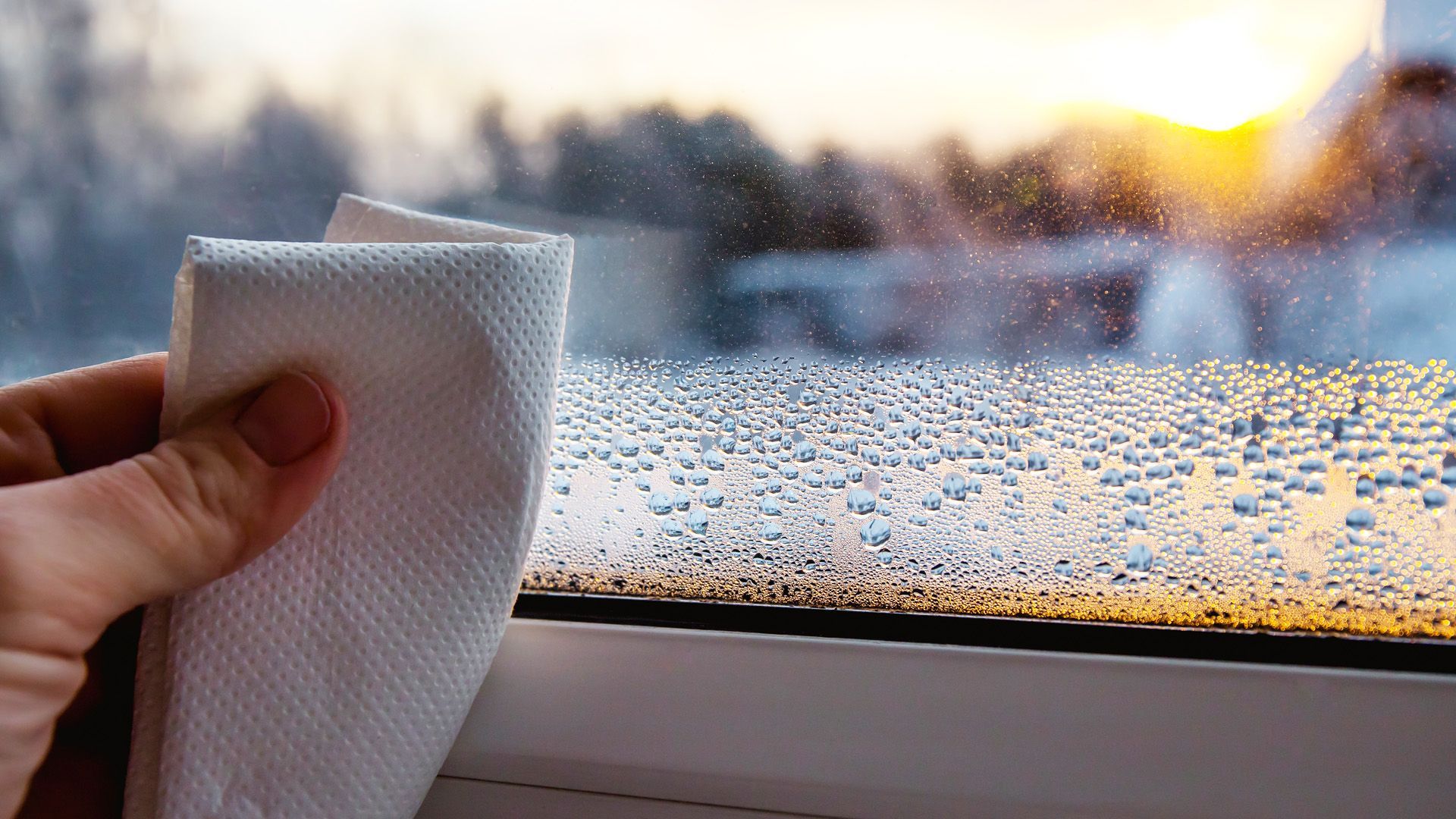 Kondenswasser am Fenster: So kannst du die Luftfeuchtigkeit senken
