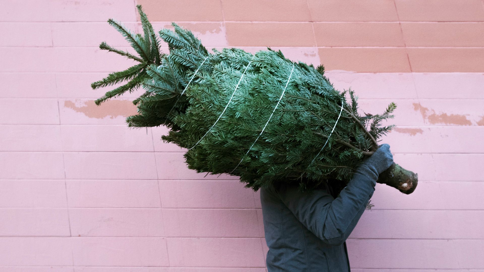 Weihnachtsbaum kaufen: Tipps für den perfekten Baum
