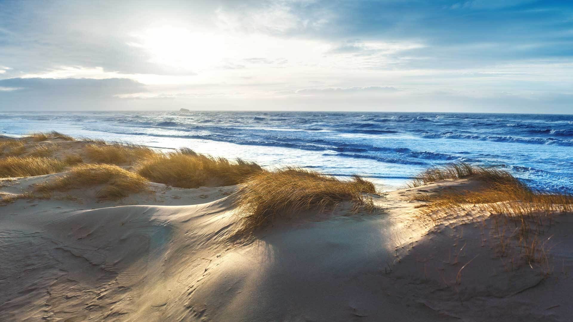 Ostsee oder Nordsee: Wo zieht es mehr Urlauber hin?