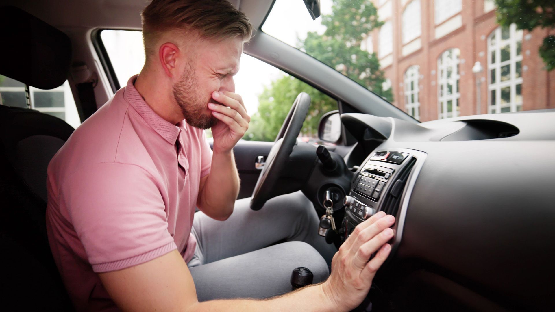 So wirst du Schimmel im Auto los