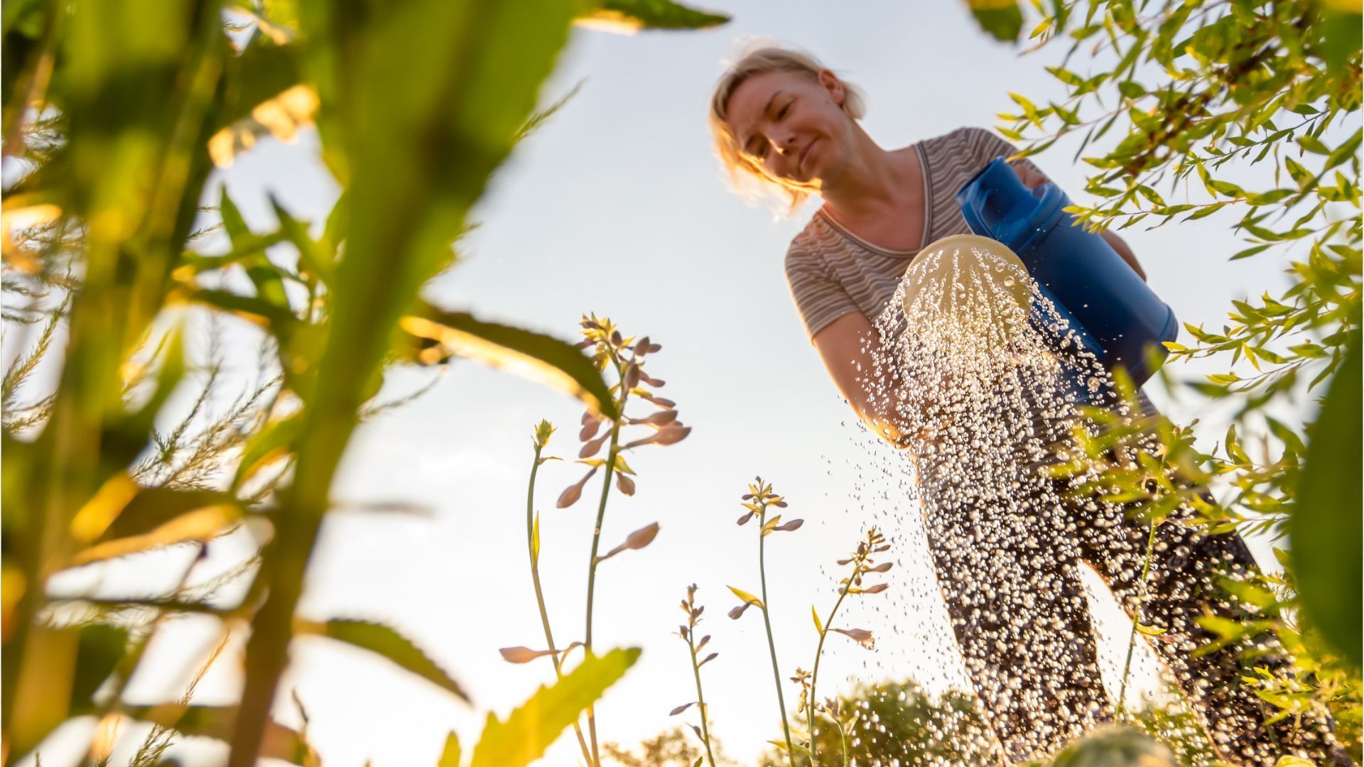 Diese Fehler sollte man im Garten vermeiden