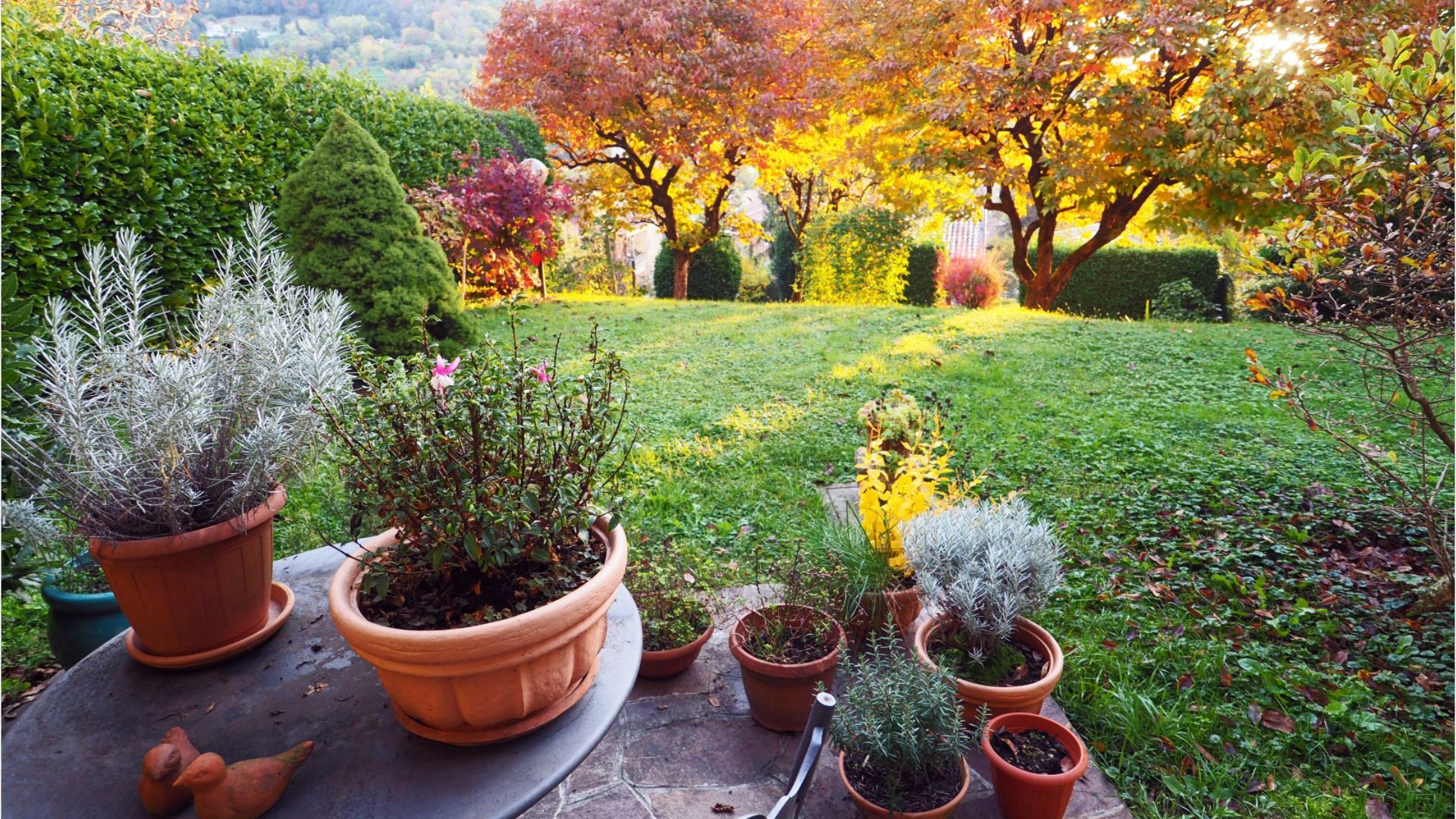 Gartenarbeit im Herbst: Was jetzt zu tun ist