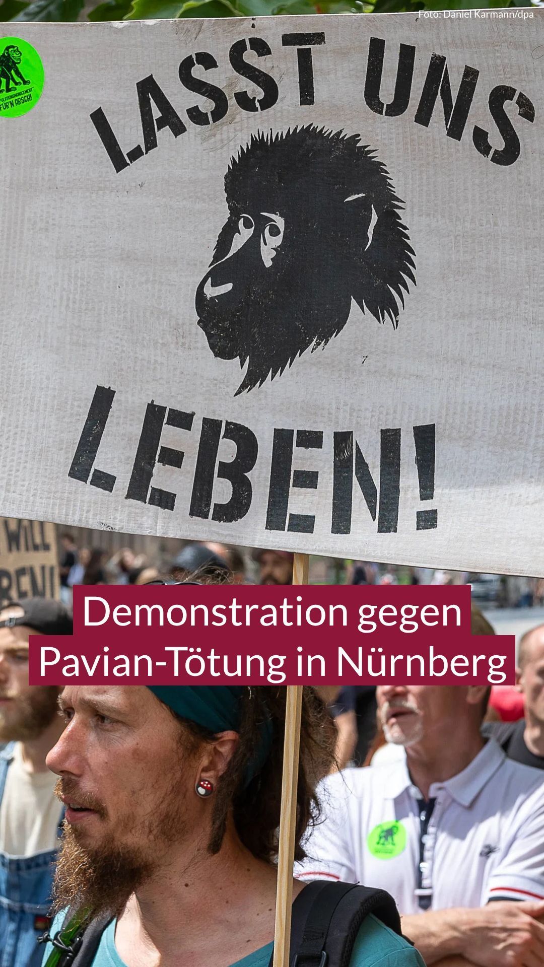 Video: Demonstration gegen Pavian-Tötung