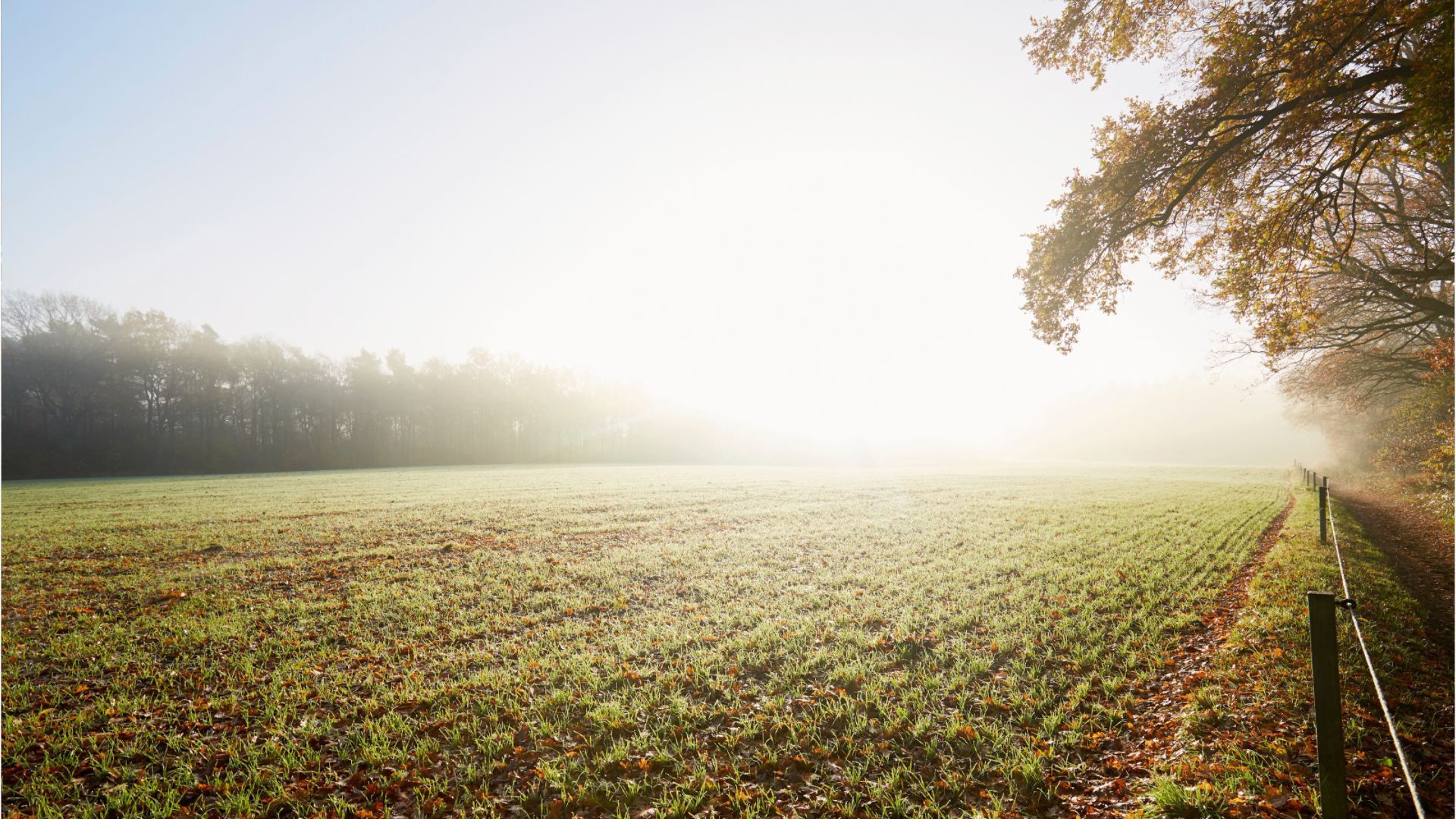 Video: Letzte warme Tage in Bayern - danach wird es regnerisch