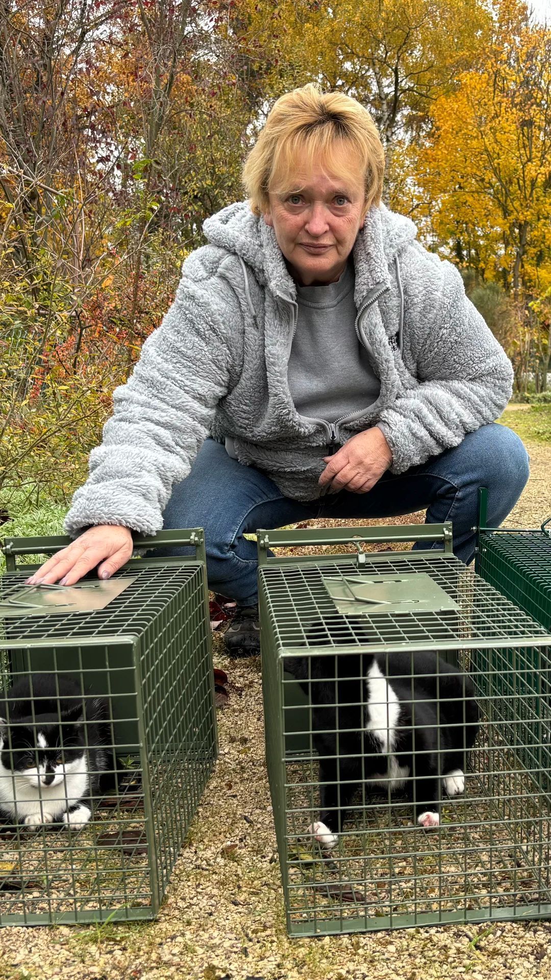 Video: Nürnbergs Tierheim kämpft mit Kastrationen gegen Katzenflut
