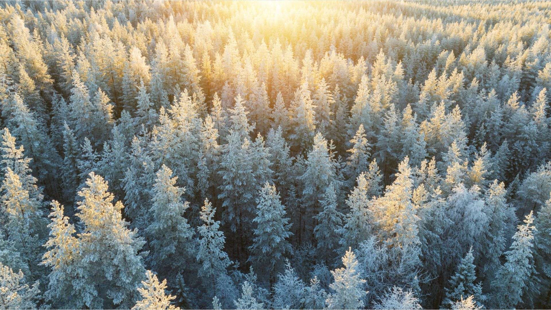 Video: Letzte Dezemberwoche startet mit Frost und Schneefall