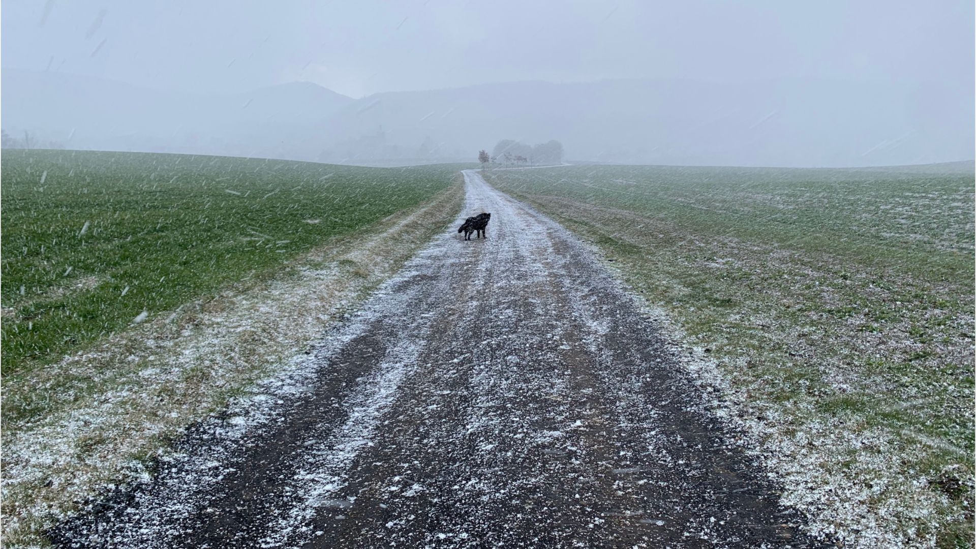 Video: Regen, Graupel und Schnee – Frühling macht Pause in Bayern