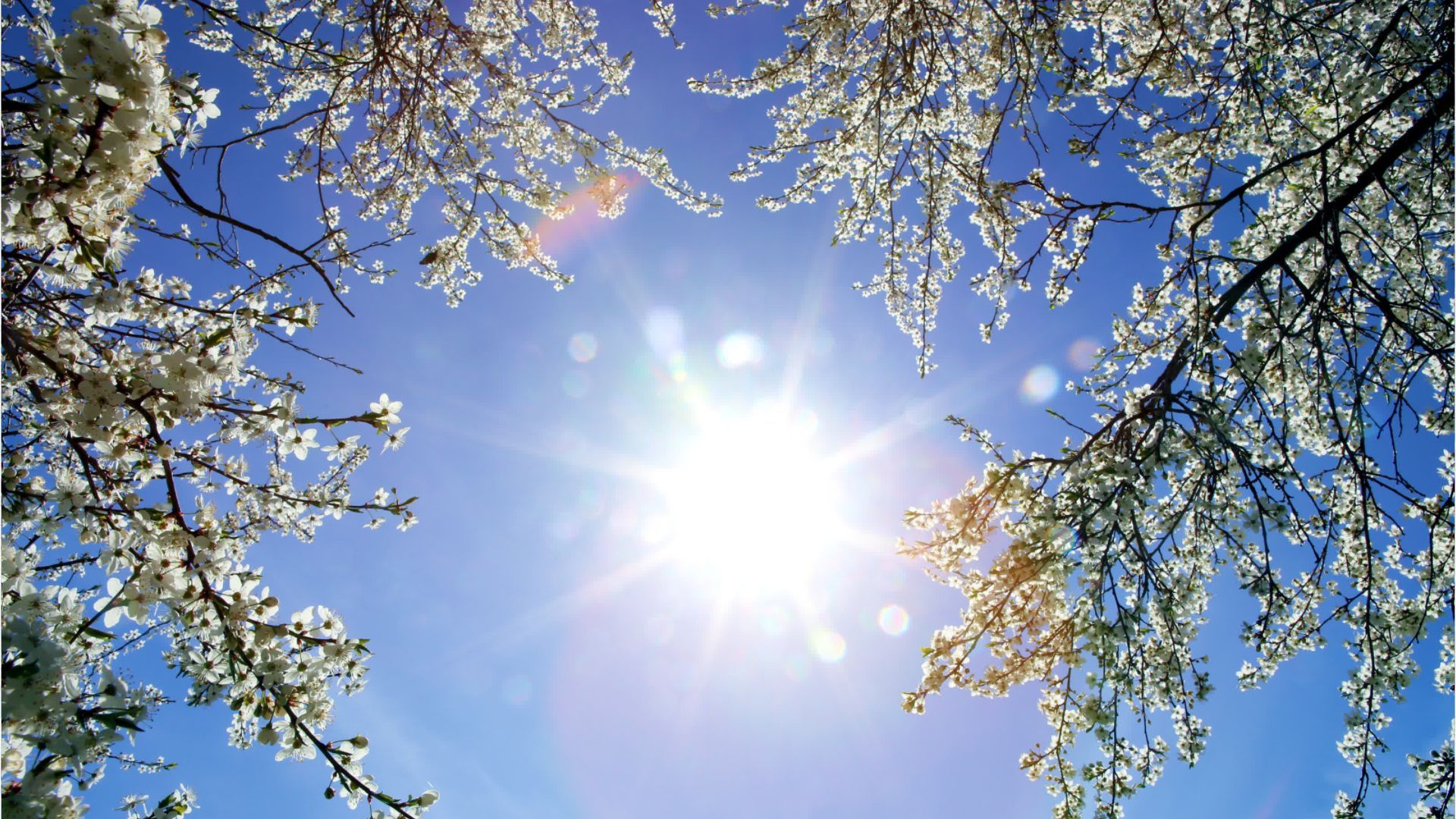 Video: Sonnige Feiertagswoche startet in Bayern