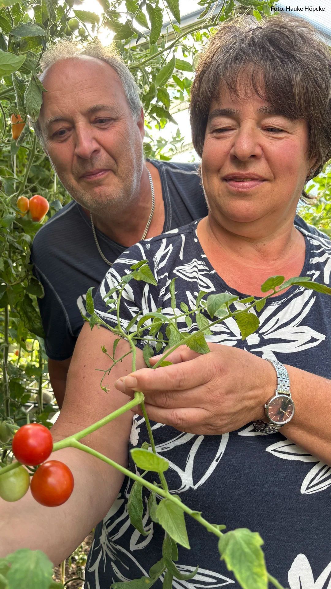 Video: Zu Besuch im Tomatenparadies der Familie Meier in Berngau