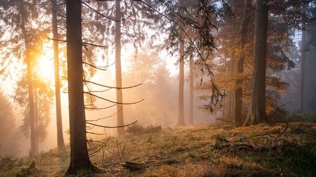 Jetzt gerät der „Atem der Erde“ aus dem Takt – mit fatalen Folgen