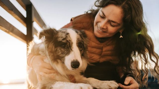 Video: Jobcenter muss Tierfutter und Versicherung für Hund zahlen