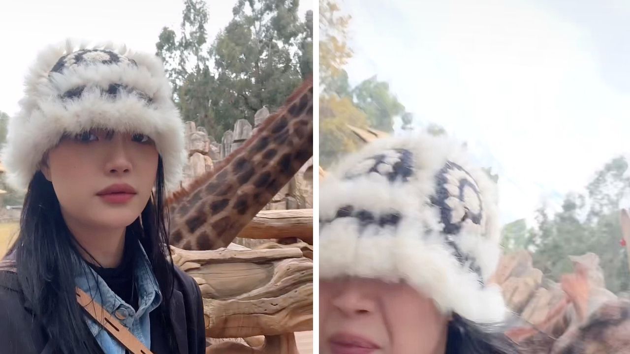 Überraschende Kopfnuss: Selfie mit Giraffe geht daneben