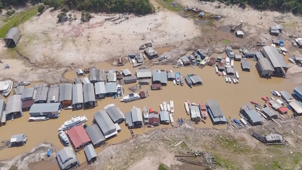 Dürre im Amazonasgebiet: Wichtiger Nebenfluss trocknet aus