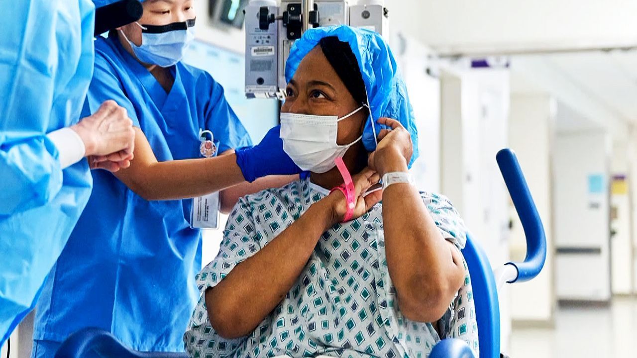 Gentechnisch veränderte Schweineniere eingesetzt – Patientin nach OP wohlauf