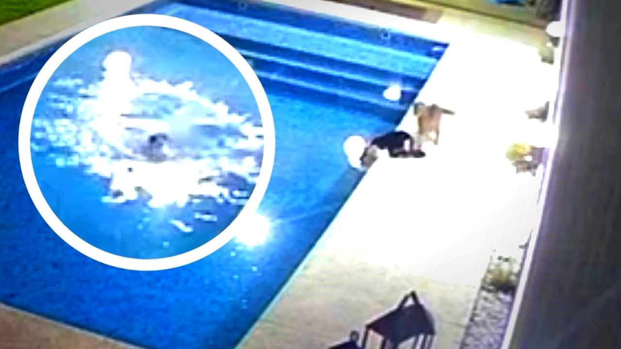 Von-hinten-angeschlichen-Katze-schubst-Artgenossin-in-Swimmingpool