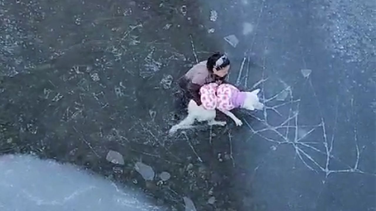 Hund-f-llt-in-eiskalten-Fluss-Frau-kommt-Vierbeiner-zu-Hilfe-Video