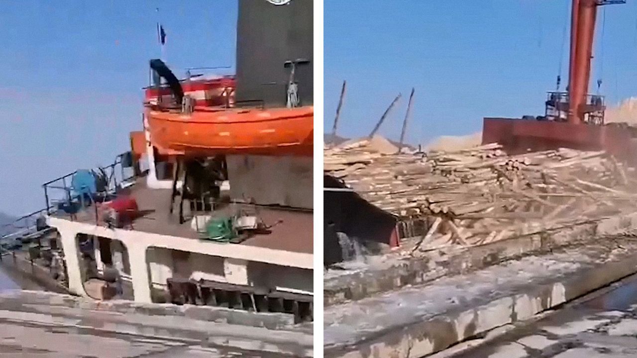 Frachtschiff gerät aus dem Gleichgewicht: Unzählige Baumstämme rollen ins Wasser