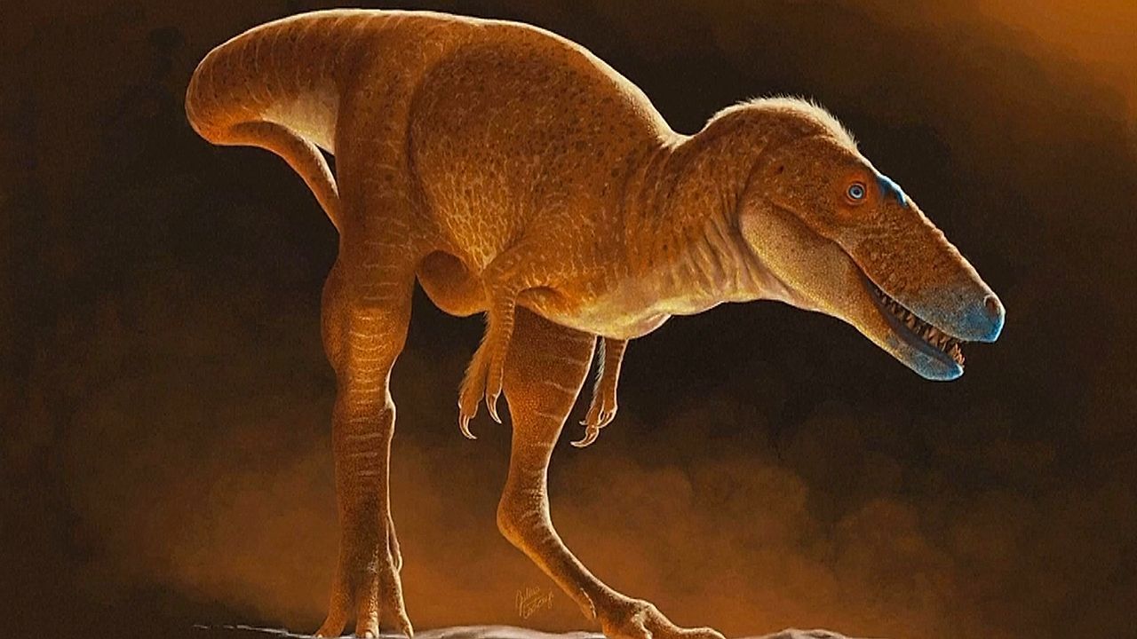 Vorfahre des T-Rex: Forscher entdecken neue Dinosaurierart