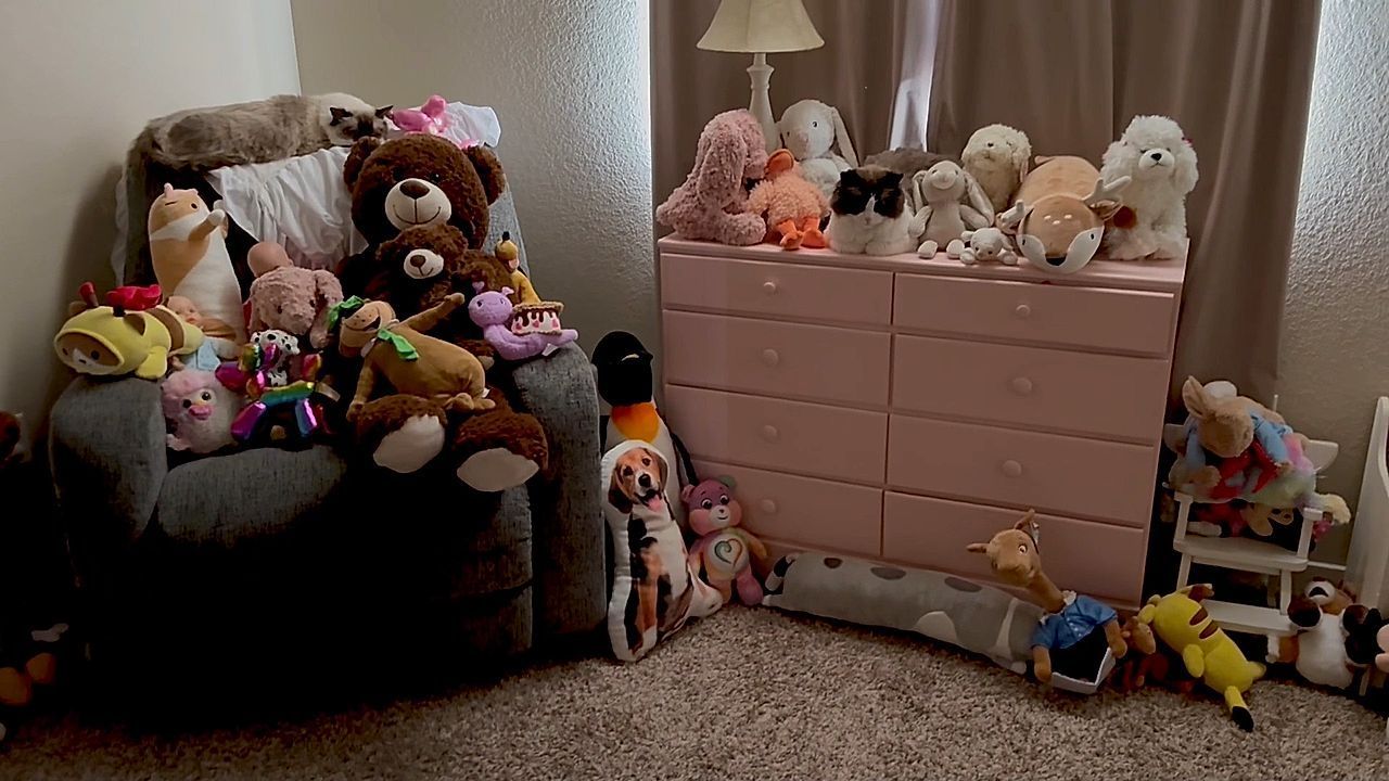 Video: Perfekt getarnt: Zwei Katzen verstecken sich als Kuscheltiere im Kinderzimmer