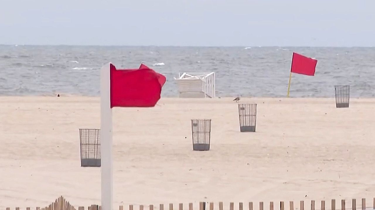 Ins Bein gebissen: Frau in New York von Hai attackiert