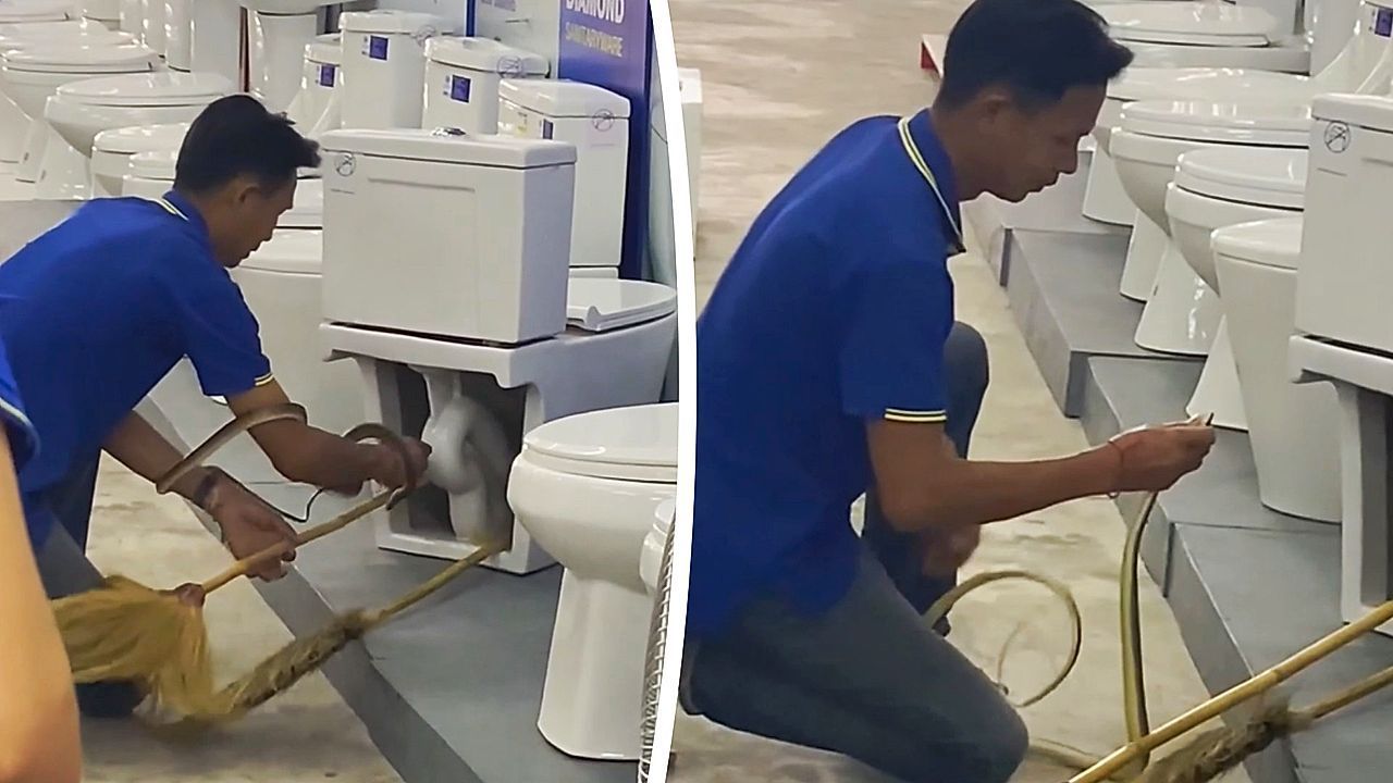 Schlange versteckt sich in Klo – Baumarkt-Mitarbeiter wird zum Helden