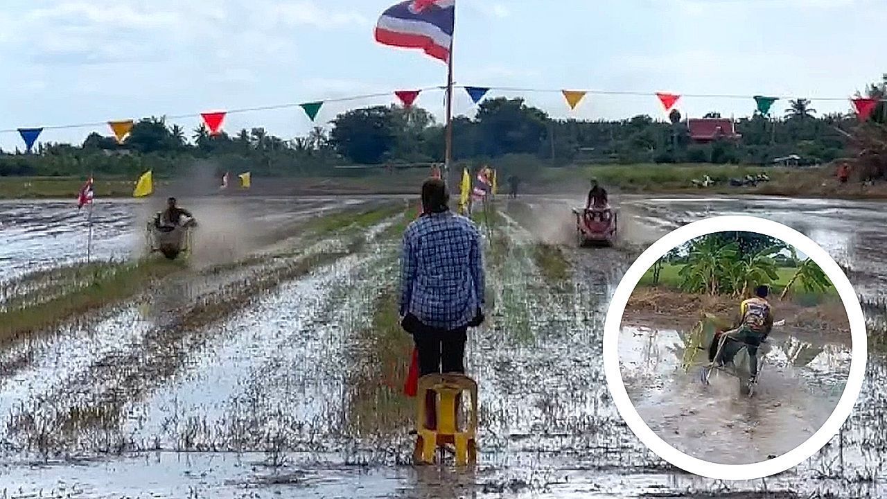 Mit getunten Pflügen: Bauern liefern sich bizarres Rennen in Reisfeld